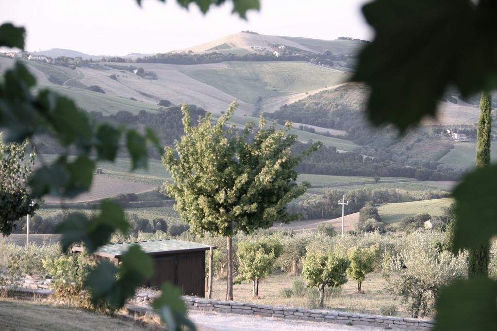 Agriturismo Fattoria Marchetti Montalto delle Marche Exterior photo